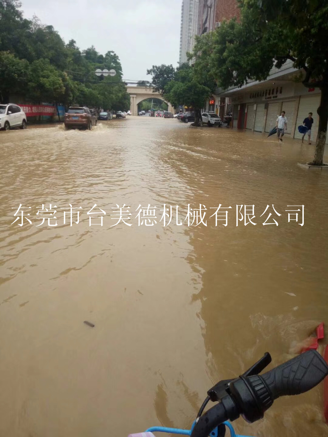 开云网页版