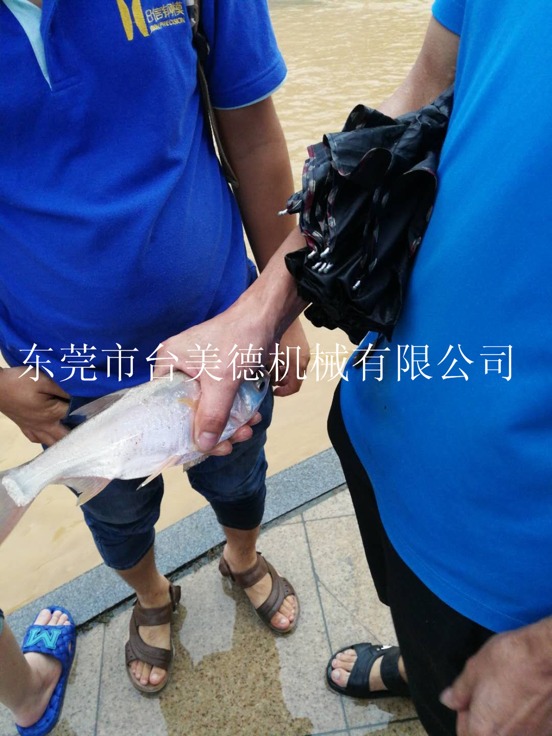 开云网页版