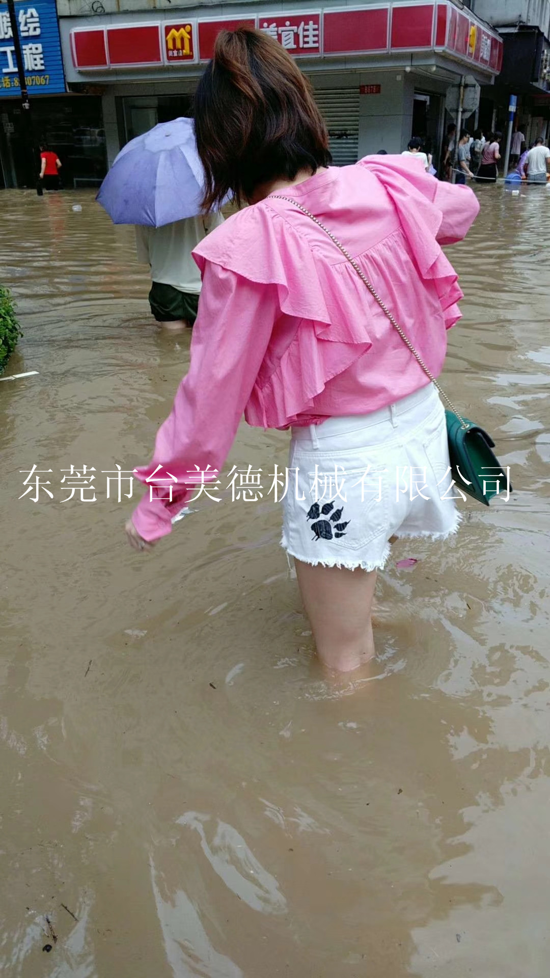 开云网页版