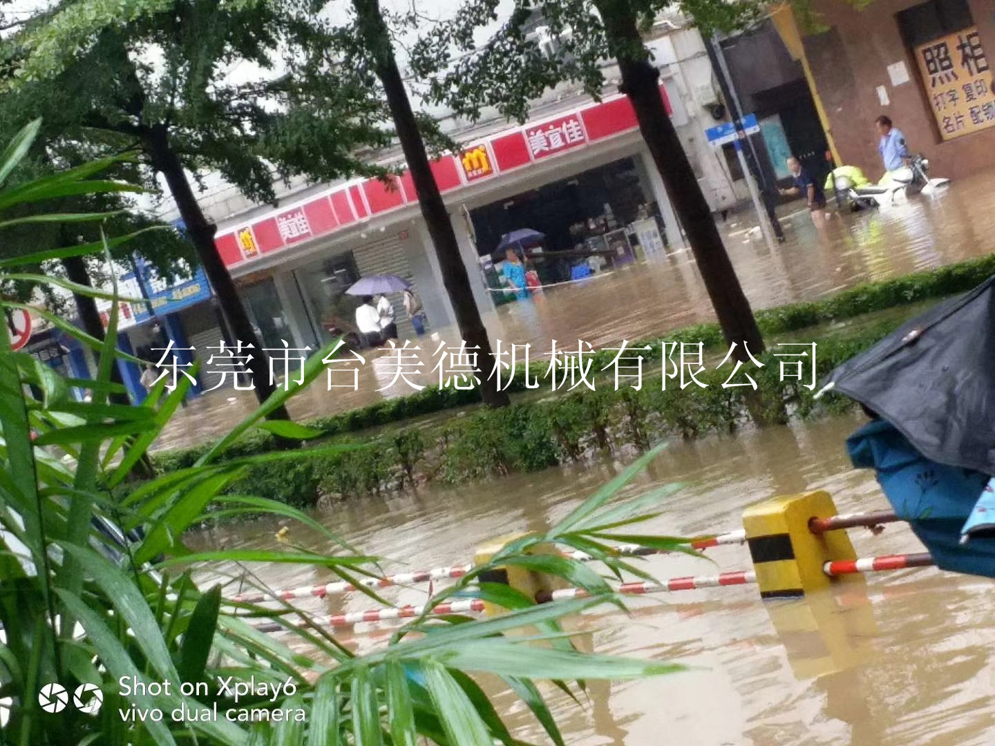 开云网页版