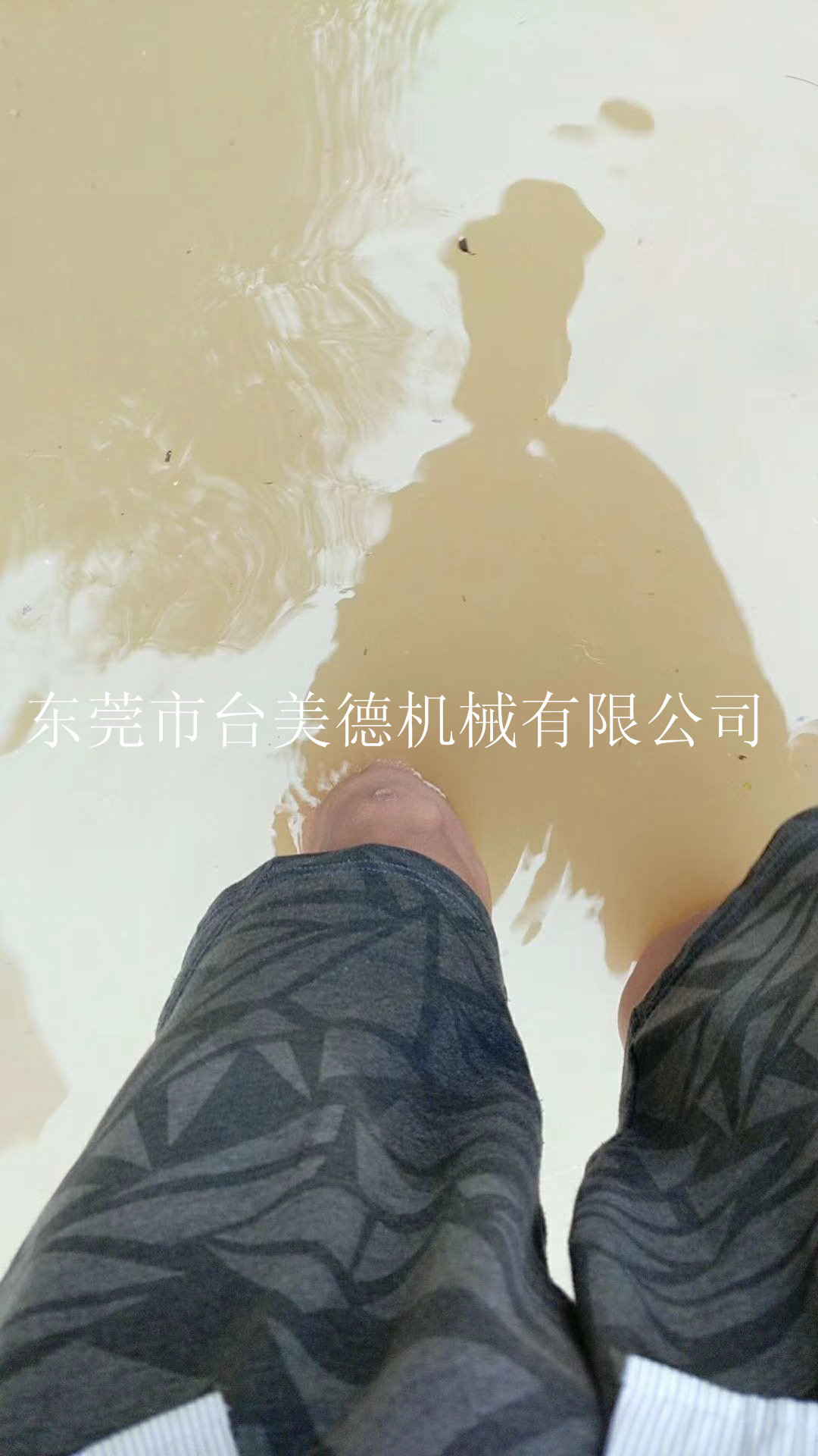 开云网页版