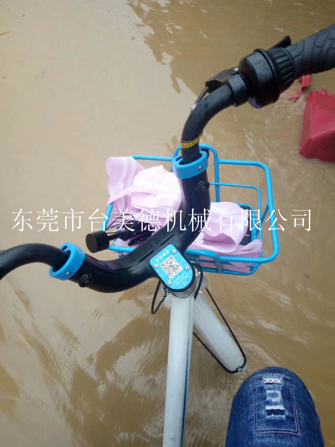 开云网页版